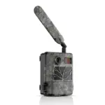 Cámara Trampeo ZEISS Secacam 3 - Imagen 3