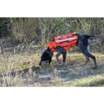 Chaleco Protección CANIHUNT DEFENDER 2.0 - Imagen 12