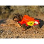 Chaleco para perros Dogtrace - Imagen 2