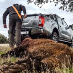 Correas Para sacar Reses