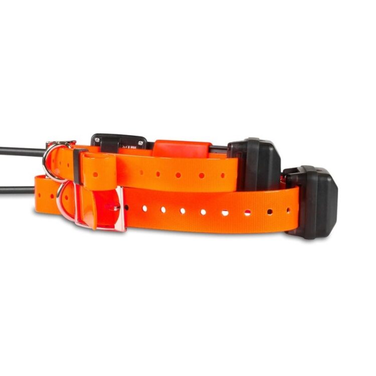 Collar adicional GPS X25 - Imagen 4