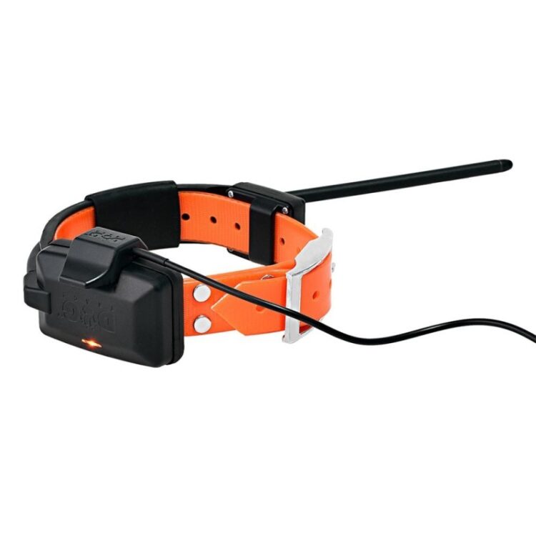 Collar adicional GPS X25 - Imagen 3