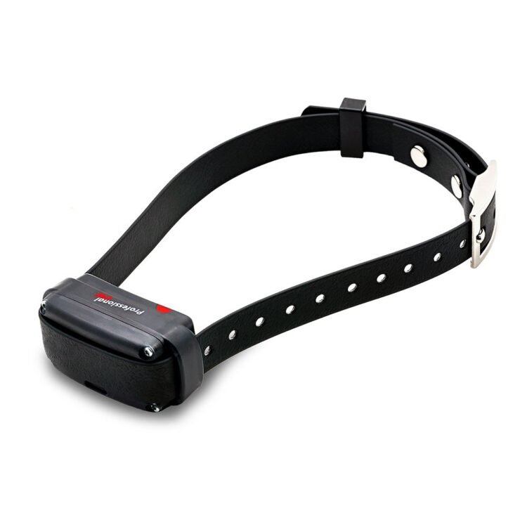 Dogtrace Professional 2000 One+ Negro - Imagen 2