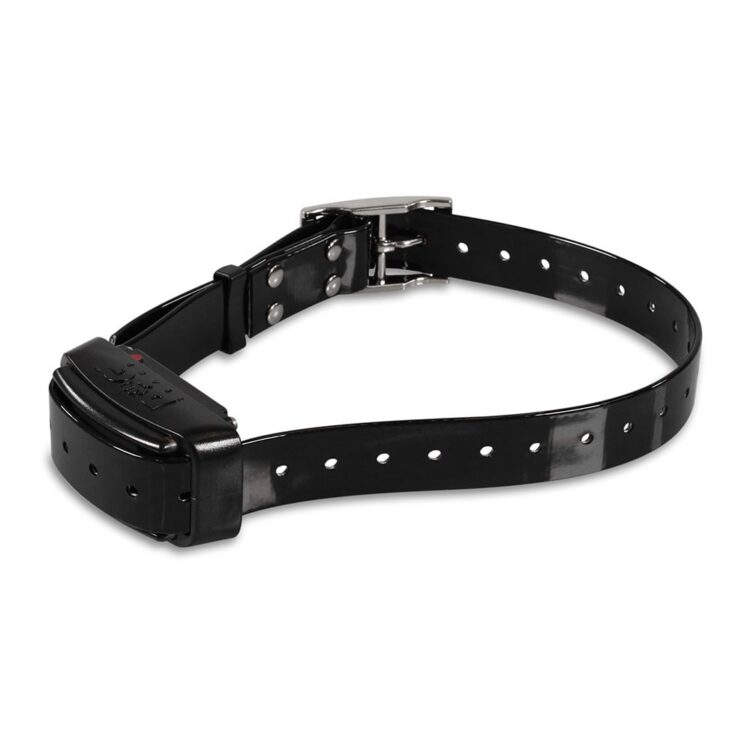 Dogtrace Professional 2000 - Negro - Imagen 2