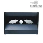 Diana de péndulos - 2 ratas