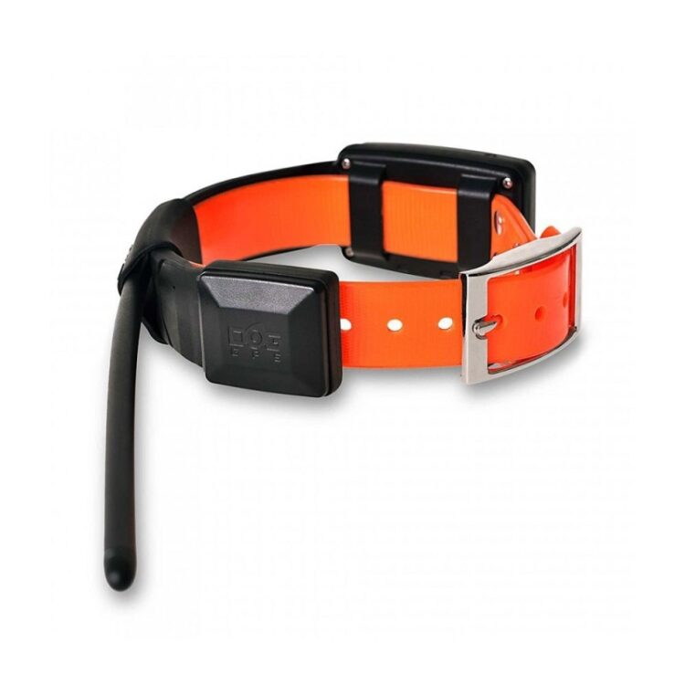 Dogtrace GPS X25 - Imagen 8