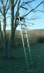 Treestand  Plegable - Imagen 4