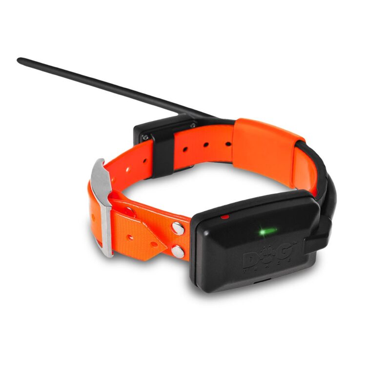 EQUIPO Dogtrace X20 - (mando + collar) - Imagen 5