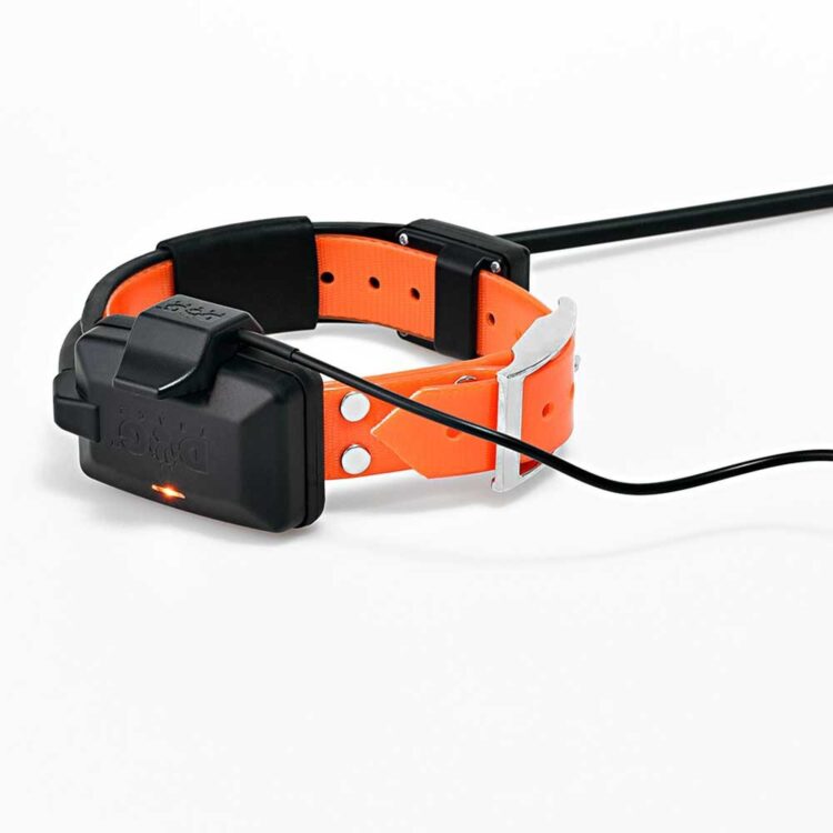 Dogtrace GPS X30 - Imagen 3