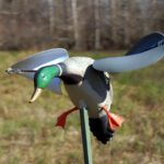 Pato Acción Por Viento Mojo