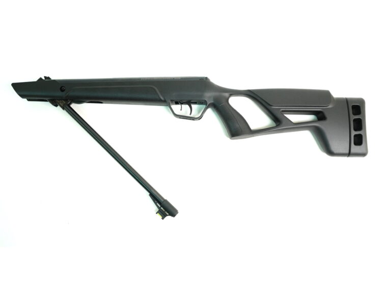 Carabina CROSMAN Vital Shot NP - Imagen 3