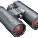 Prismático BUSHNELL ENGAGE DX - 10x42