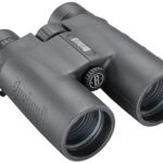 Prismático BUSHNELL Pacifica - 10x42
