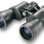 Prismático BUSHNELL POWERVIEW - 10x50