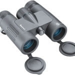 Prismático BUSHNELL PRIME - 8x32