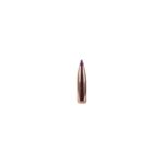 Puntas Cal. 243/6mm-090-Spitzer Nosler Ballistic T - Imagen 2