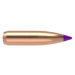 Puntas Cal. 243/6mm-095-Spitzer Nosler Ballistic T - Imagen 2