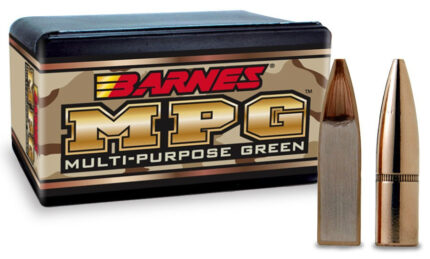 Puntas de bala BARNES MPG -.224" - 55 grains