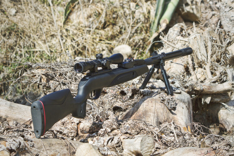 ........Serie Multidisparo Gamo.........SPEEDSTER IGT 10X GEN3i - Imagen 5