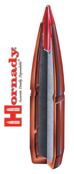 Puntas Hornady SST calibre .277 (6,8mm) - 150 grains - Imagen 4