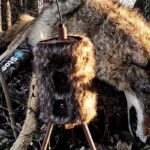 Super Atrayente Zorros