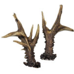 Cuernas Corzo  217 Puntos