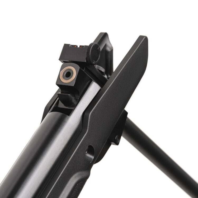 Carabina CROSMAN Vital Shot NP - Imagen 2